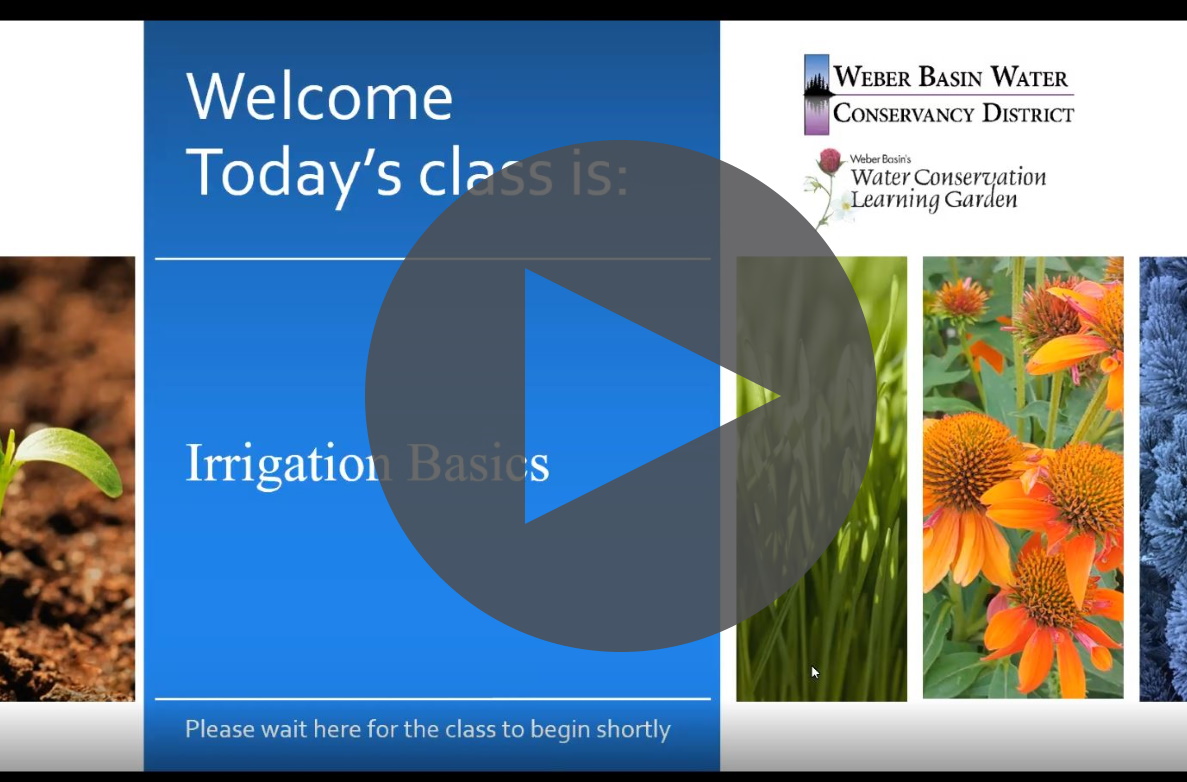 Watch the class recorded May 20, 2020
