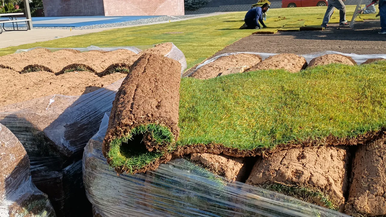 Site Preparation